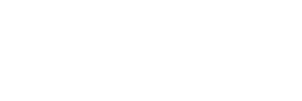 Microsoft Partner